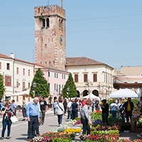 20180506ColognaInFiore